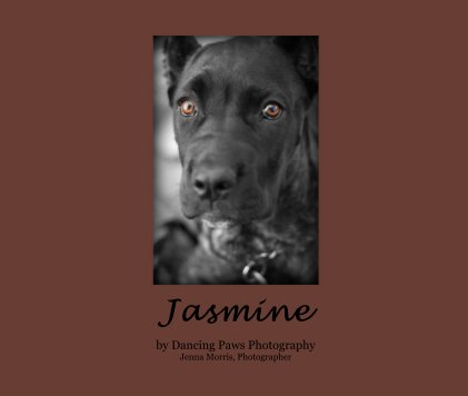 Jasmine book cover