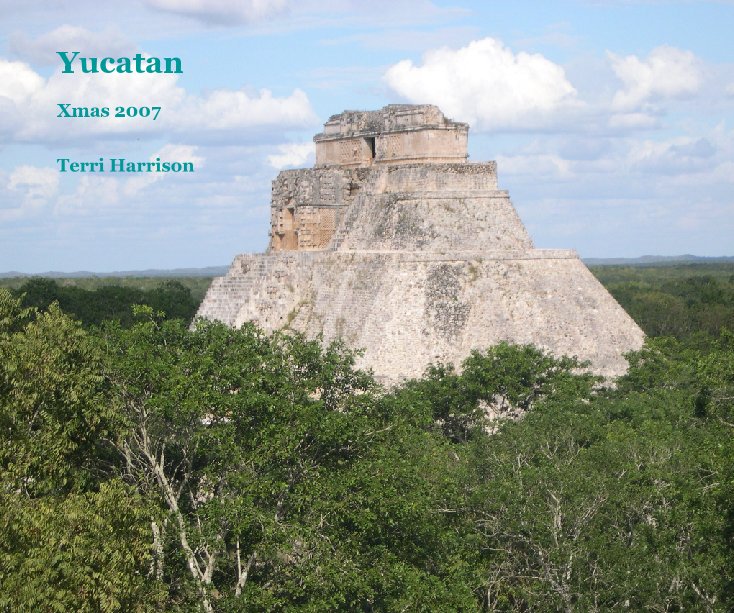 View Yucatan by Terri Harrison