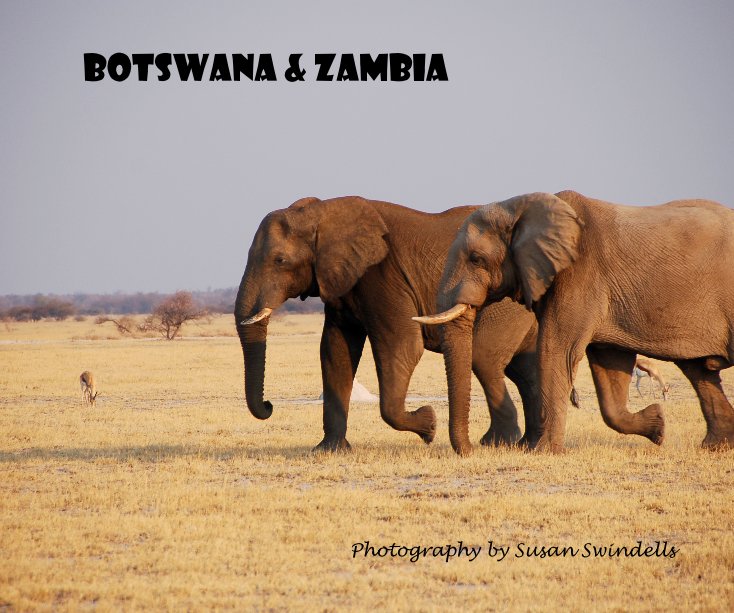 View Botswana & Zambia by susan swindells