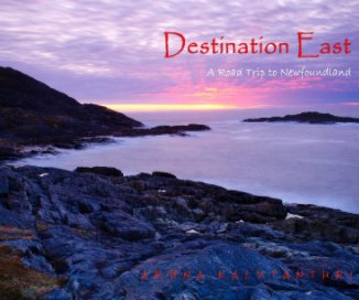Destination East book cover