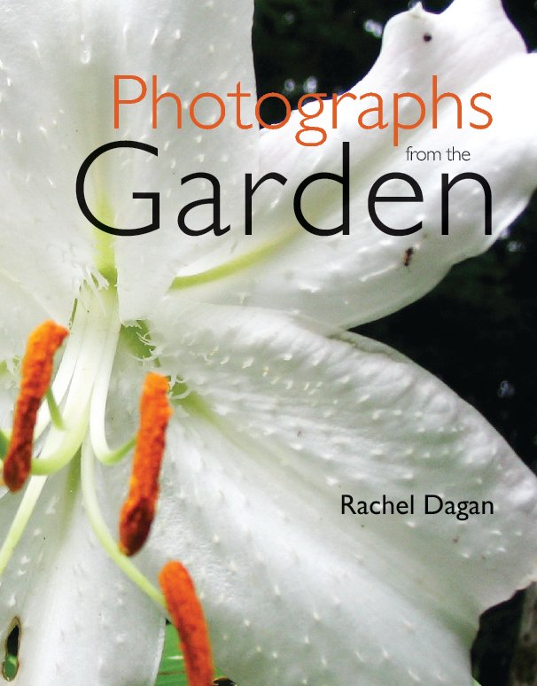 View Photographs from the Garden by Rachel Dagan
