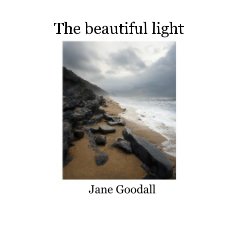 The beautiful light book cover