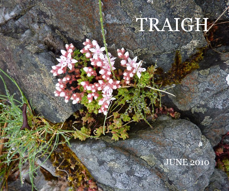 View TRAIGH by Carrie Balfour
