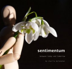 sentimentum book cover