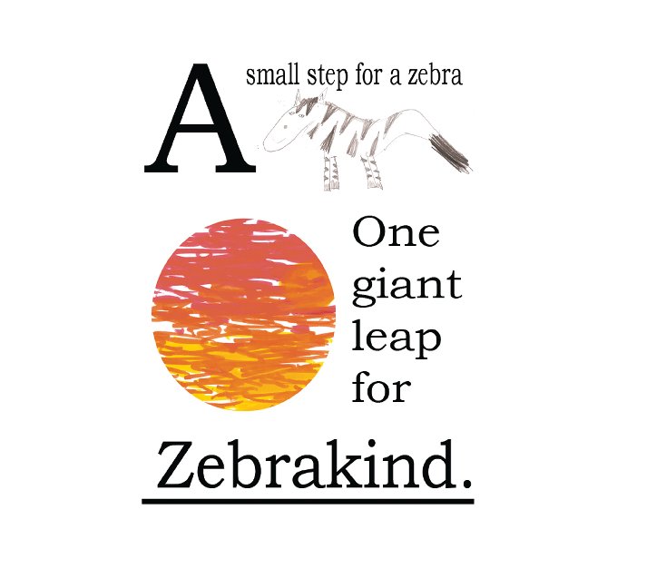 View A small step for a Zebra by Nether Currie Primary