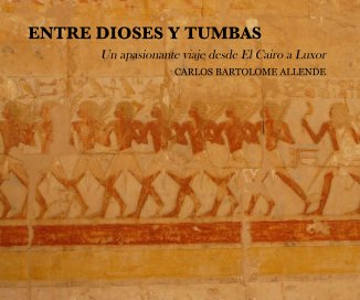 ENTRE DIOSES Y TUMBAS book cover