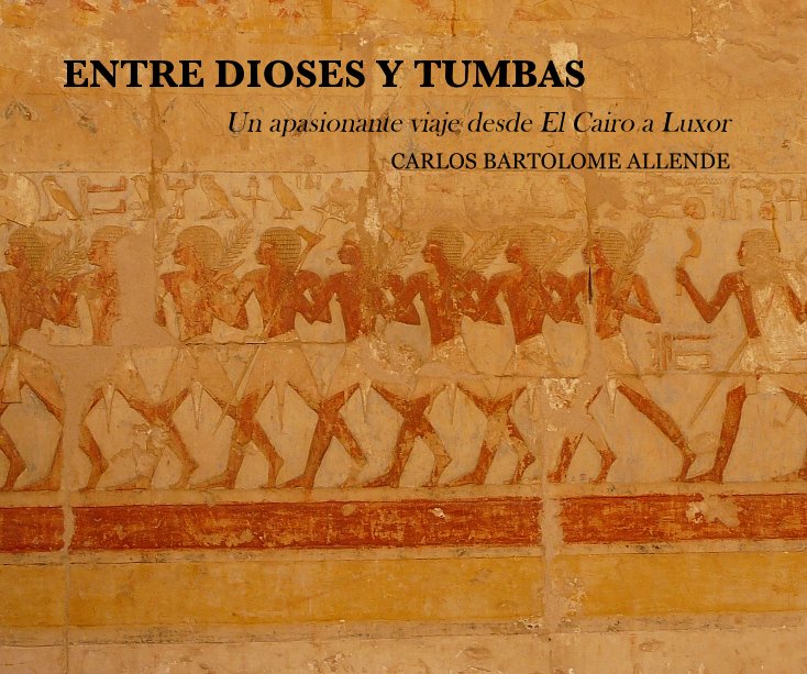 View ENTRE DIOSES Y TUMBAS by CARLOS BARTOLOME ALLENDE
