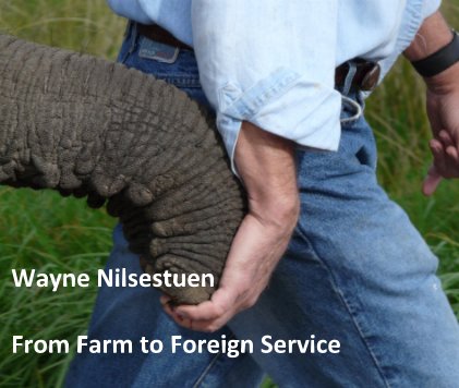 Wayne Nilsestuen From Farm to Foreign Service book cover