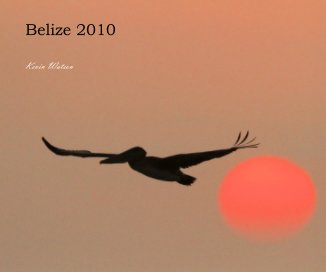 Belize 2010 book cover