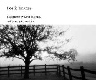 Poetic Images book cover