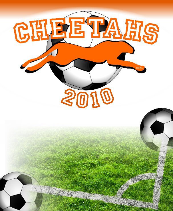 Ver Cheetahs Soccer 2010 por Mark Shumway