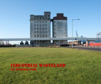Industrial Wasteland By Michelle Cook book cover