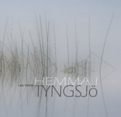 HEMMA I TYNGSJÖ book cover