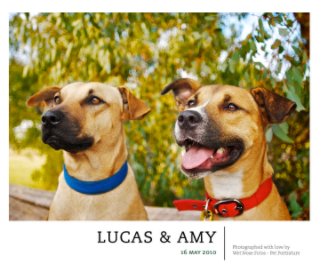 Lucas & Amy book cover