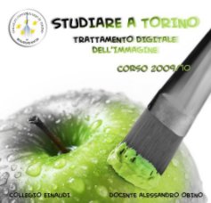 Studiare a Torino book cover