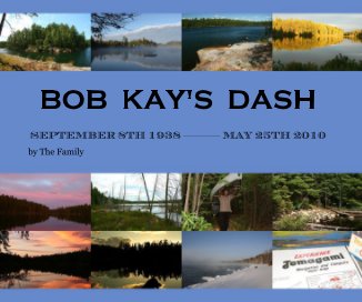 BOB KAY'S DASH book cover