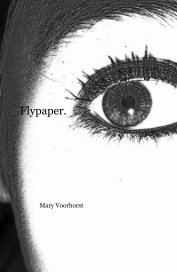 Flypaper. book cover