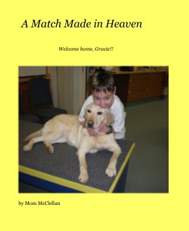 A Match Made in Heaven book cover