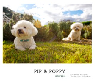 PIP & POPPY book cover