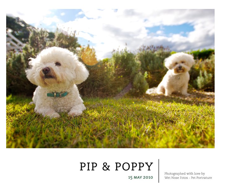 View PIP & POPPY by Wet Nose Fotos