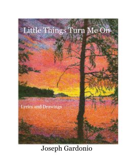 Little Things Turn Me On book cover