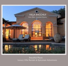 Villa Bacchus book cover