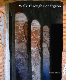 Walk Through Sonargaon book cover