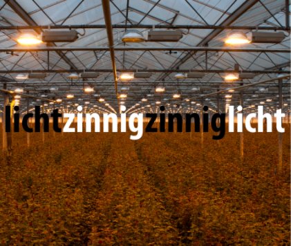 Lichtzinnig & Zinnig Licht book cover