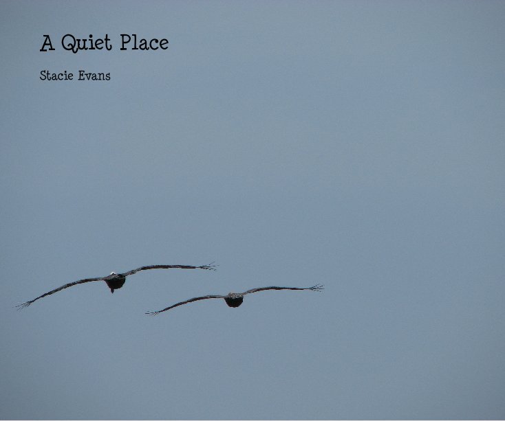 View A Quiet Place by girlgriot