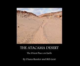 THE ATACAMA DESERT book cover