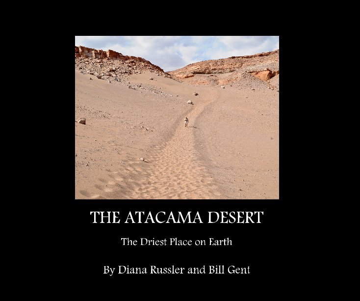 Ver THE ATACAMA DESERT por Diana Russler and Bill Gent