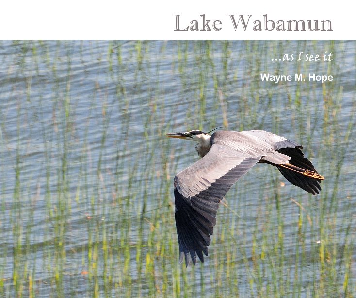 View Lake Wabamun by Wayne M. Hope