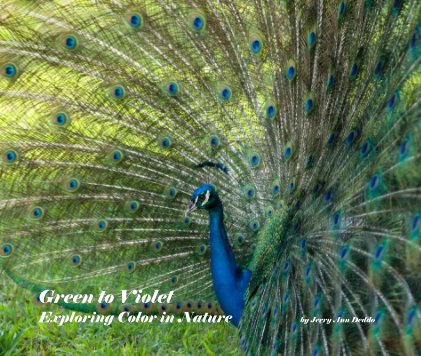 Green to Violet Exploring Color in Nature by Jerry Ann Deddo book cover