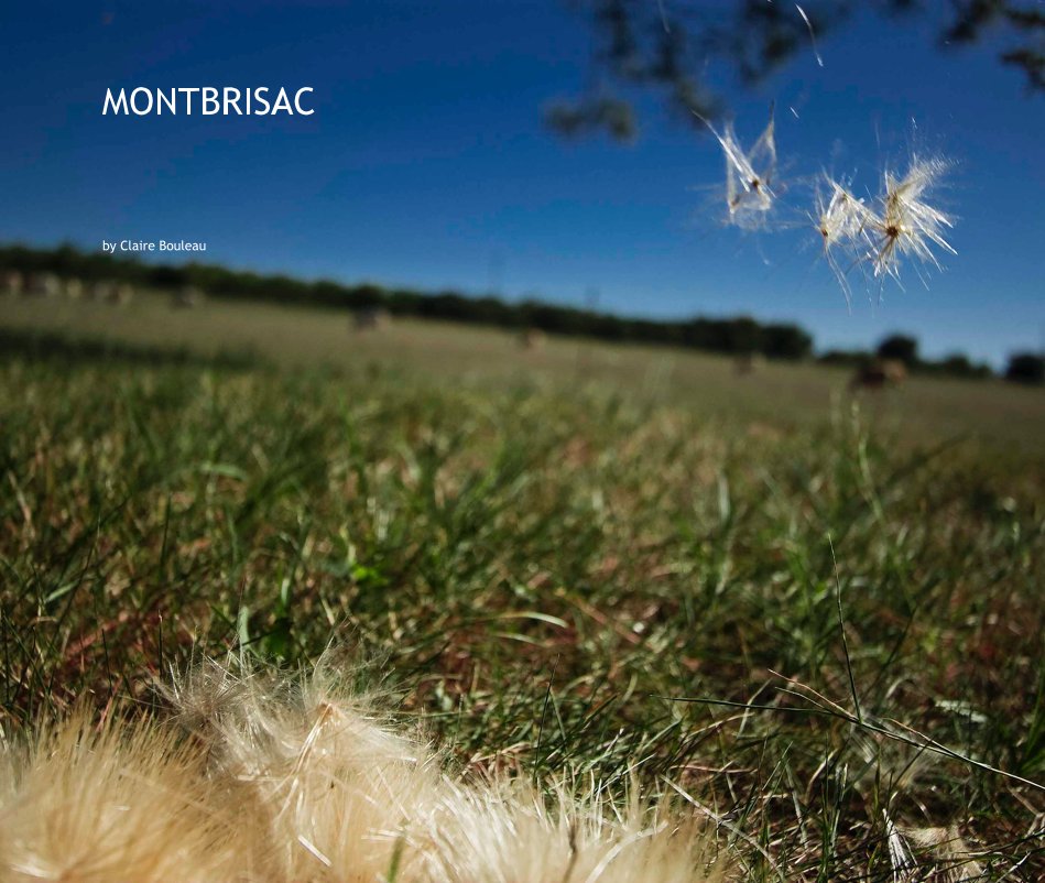 View MONTBRISAC by Claire Bouleau
