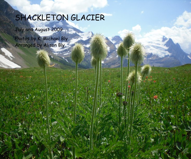 View SHACKLETON GLACIER by Photos by K. Michael Bly Arranged by Alison Bly