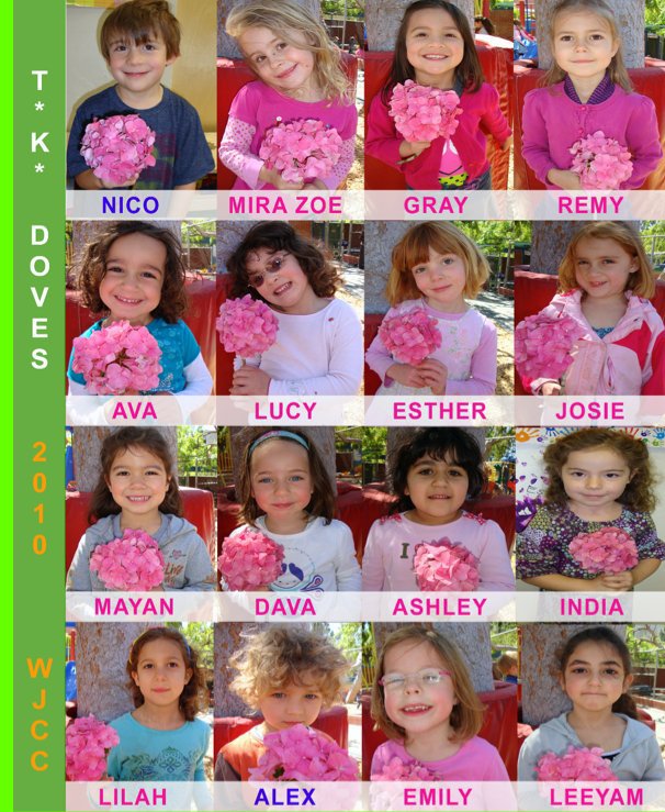 View TK Doves Year Book 2010 by The Gaileys