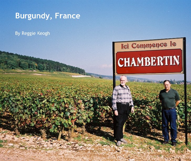 View Burgundy, France by Reggie Keogh