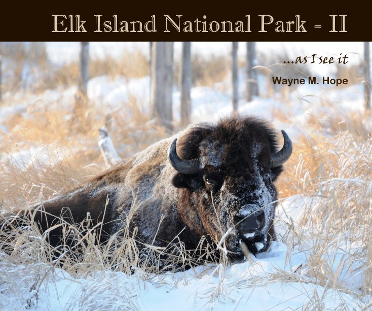 View Elk Island National Park - II by Wayne M. Hope
