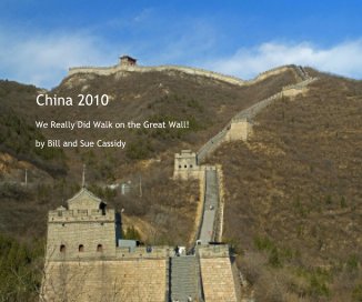 China 2010 book cover