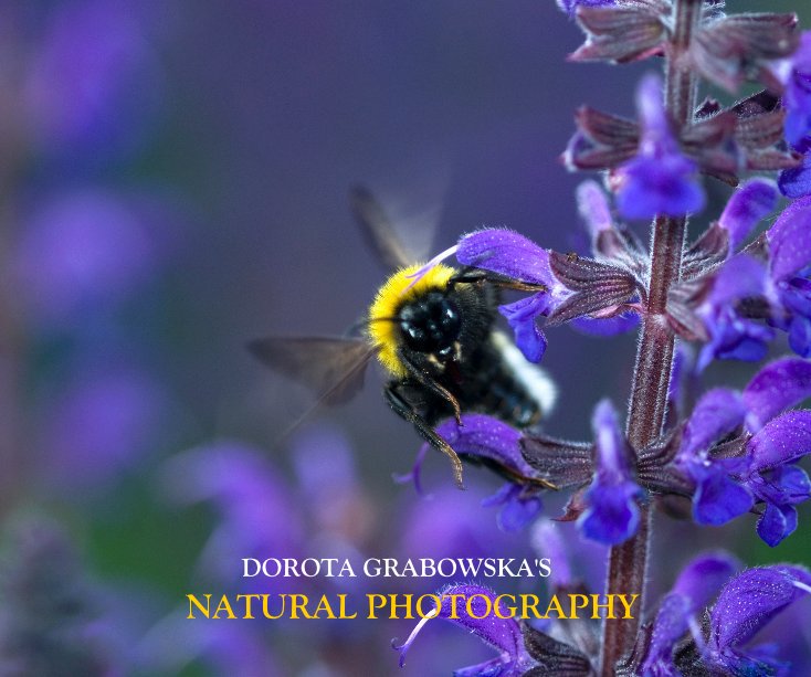 Bekijk DOROTA GRABOWSKA'S NATURAL PHOTOGRAPHY op DOROTA GRABOWSKA'S