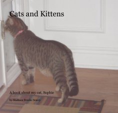 Cats and Kittens book cover