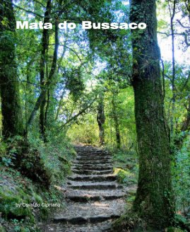 Mata do Bussaco book cover