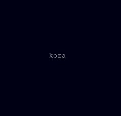 koza book cover