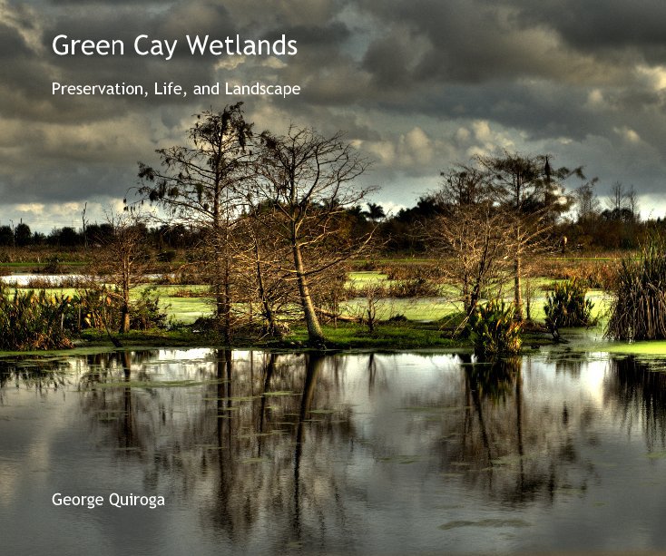 View Green Cay Wetlands by George Quiroga