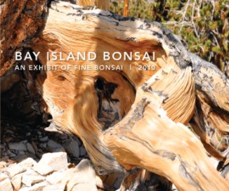 An Exhibit of Fine Bonsai 2010 book cover