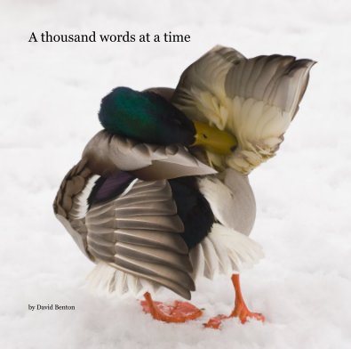 A thousand words at a time book cover