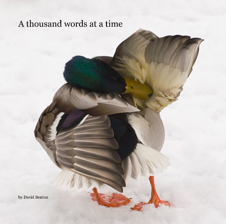 Visualizza A thousand words at a time di David Benton