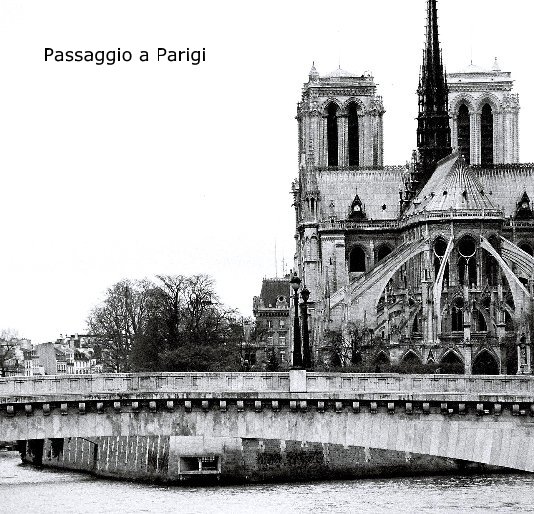 View Passaggio a Parigi by marika righetto