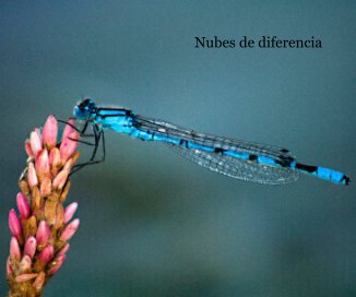 Nubes de diferencia book cover