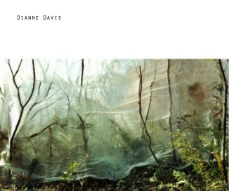 Dianne Davis book cover
